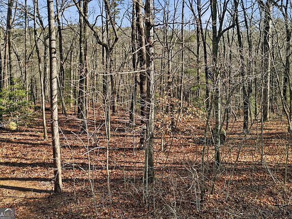 3rd image of 0 Winters Mountain Rd