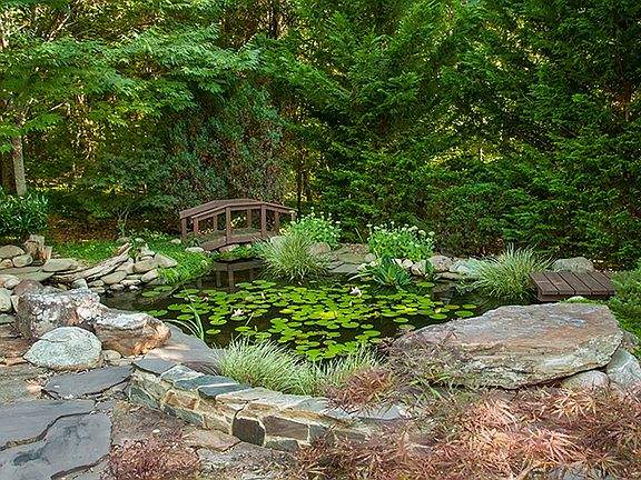 Koi Pond in Landscape Design