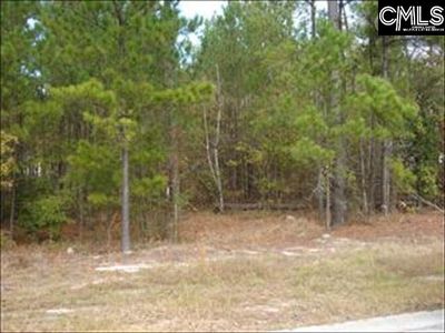 1416 Chestnut Rd, Elgin, SC, 29045