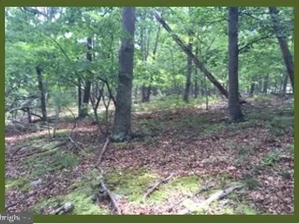 Off Rte, Keyser, WV 26726