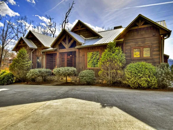 265 Covered Bridge Ln, Cherry Log, GA 30522