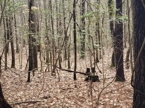 0 Tylers Beach Rd, Smithfield, VA 23430