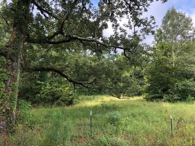 County Road 347 S, Henderson, TX, 75654
