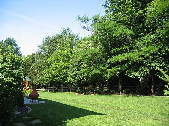 Back Yard View