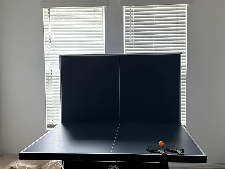 Study/game room/office