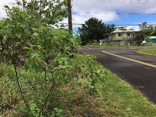 2nd image of Kaiwa St Lot 88