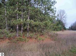 10 Avenue, Blanchard, MI 49310