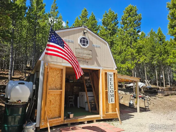 113 Shoshoni Dr, Red Feather Lakes, CO 80545