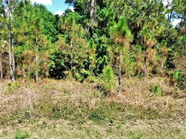 Bignay Rd Lot 11, North Pt, FL 34286