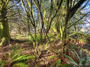 LOT 9999 Riata Rd, Forks, WA 98331