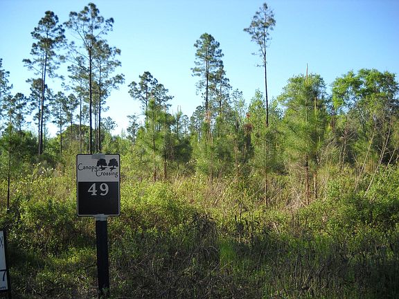 4th image of 49 Canopy Oak Blvd