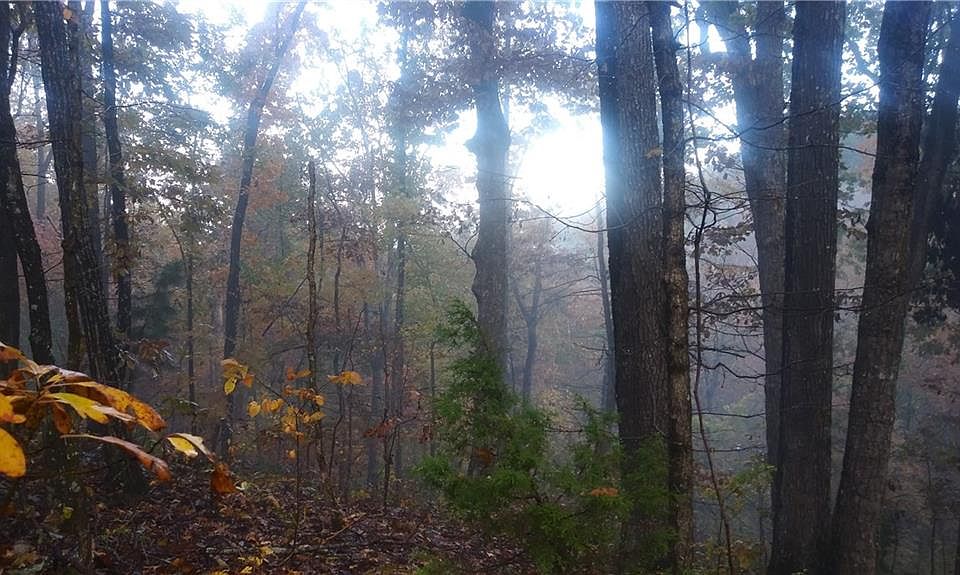 2nd image of 676 Archery Ln