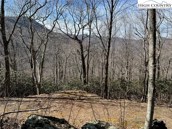 TBD (Lot 8 & 9) Chestnut Farms Road, West Jefferson, NC 28694