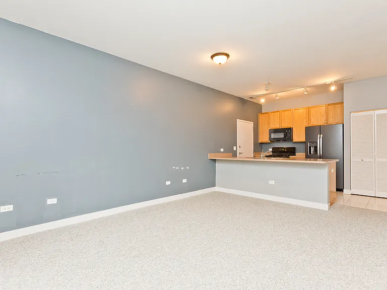 1515 S Halsted St #214 — Photo 4