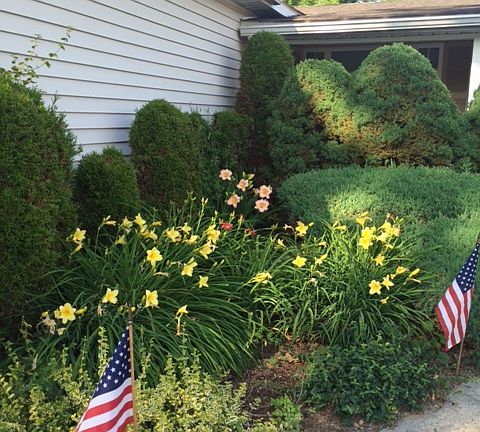 some lilies add nice color