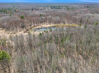 8191 Th Trl, Irons, MI 49644