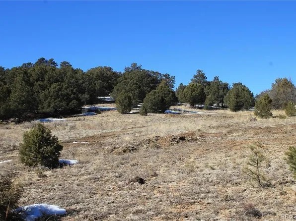 239 Big Bow Dr, Cotopaxi, CO 81223