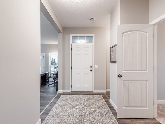 Photo of a Similar Maple