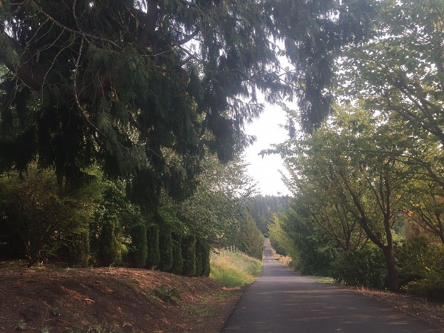 2nd image of 477 S 21st Pl