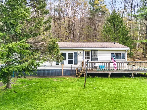 208 McCarthy Rd, Schenevus, NY 12155