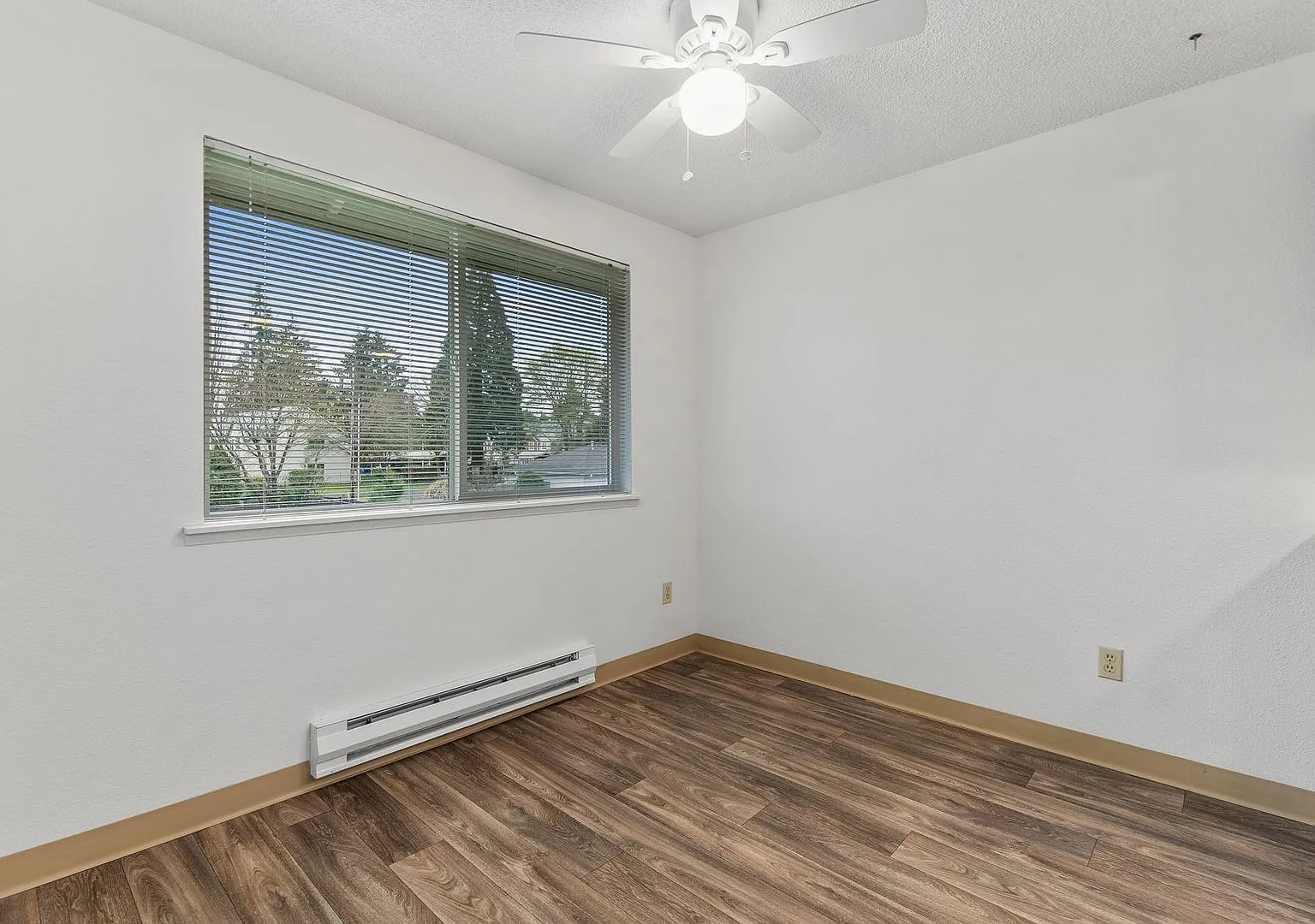 Cozy 2 Bedroom, 1 Bath Apartment in Lacey — Photo 4