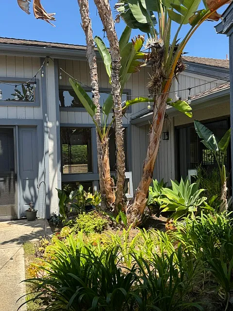 4 bed, 2000 sqft, $4,500 — Photo 2