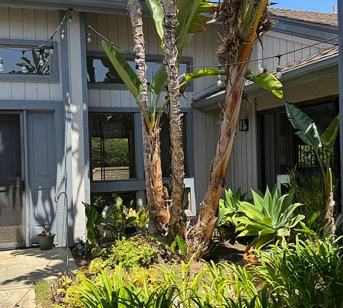 2nd image of 7441 Trigo Ln