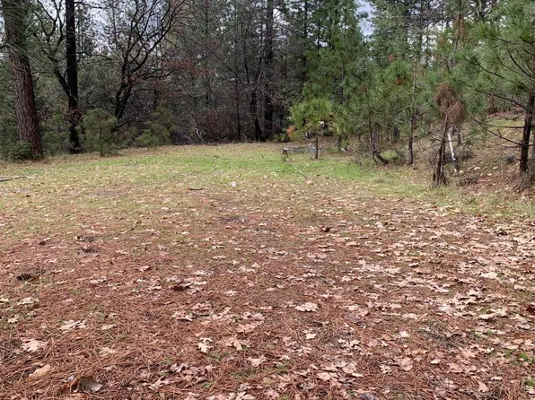 6500 Brewers Hill Rd, Placerville, CA 95667