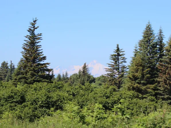 17180 Hyila Ln, Ninilchik, AK 99639