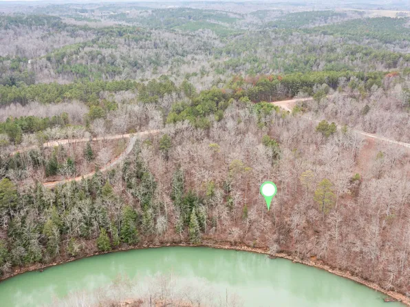 9 Bankhead Shrs, Double Springs, AL 35553