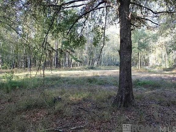 2nd image of 28545 Coker Vail Rd N