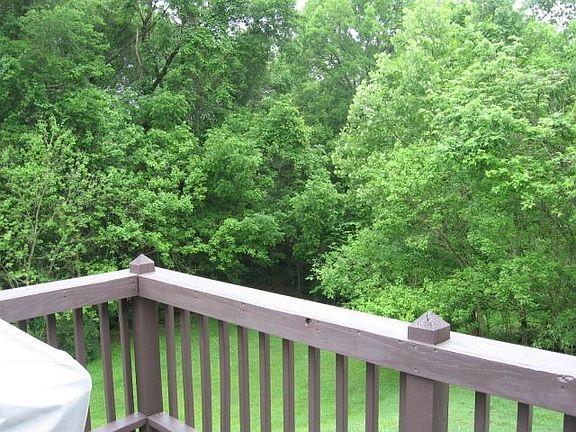 Very private Backyard