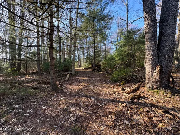 Parks Rd, Benton, PA 17814