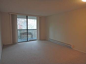 2nd image of 4307 Shelter Creek Ln