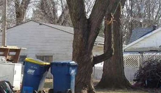 2nd image of 209 Kibler Rd