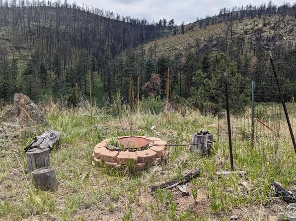 1320 Willow patch Ln, Bellvue, CO 80512