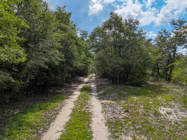 Mossy Bend Rd, Ponce De Leon, FL 32455