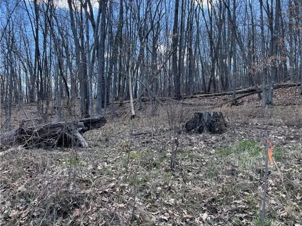 13 Pine Ln #65, Eureka Springs, AR 72631