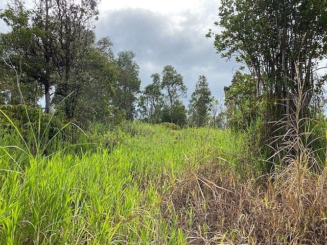 2nd image of Hibiscus St Lot 7497