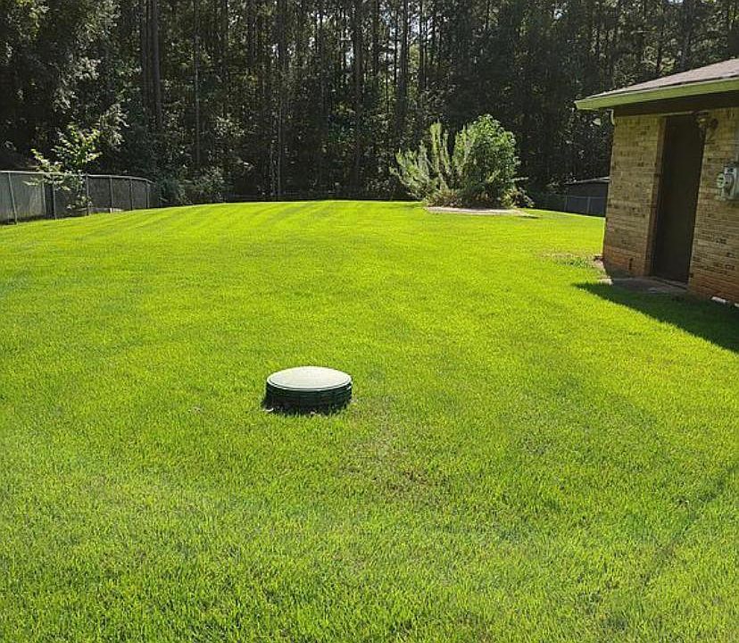 Back yard