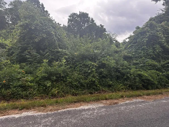 132 Lewis Ln, Heathsville, VA 22473