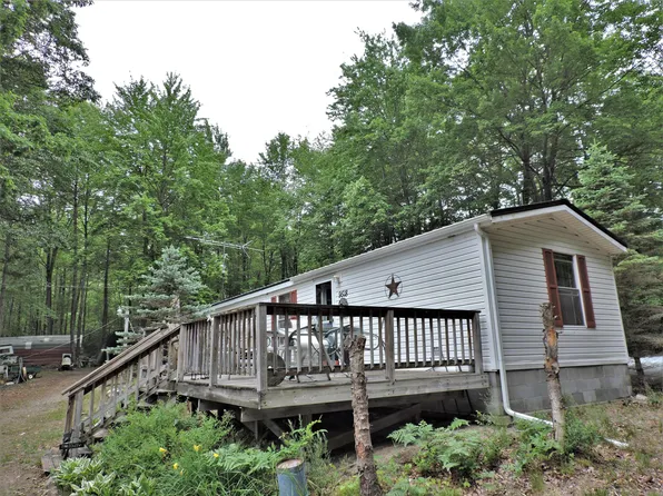 9518 21 Mile Rd, Evart, MI 49631