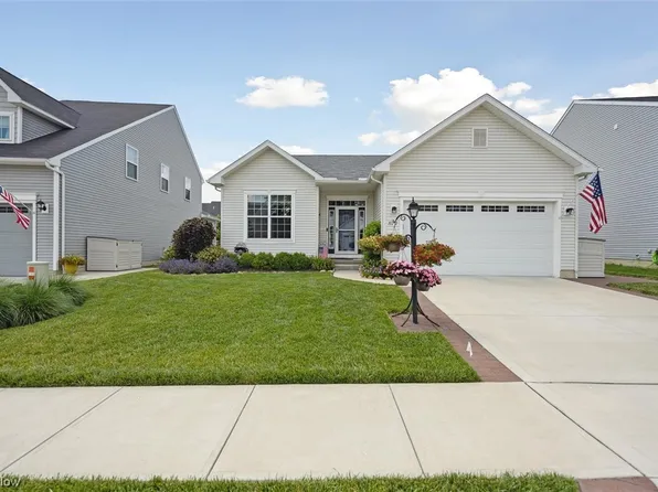 10292 Maryland St, Reminderville, OH 44202