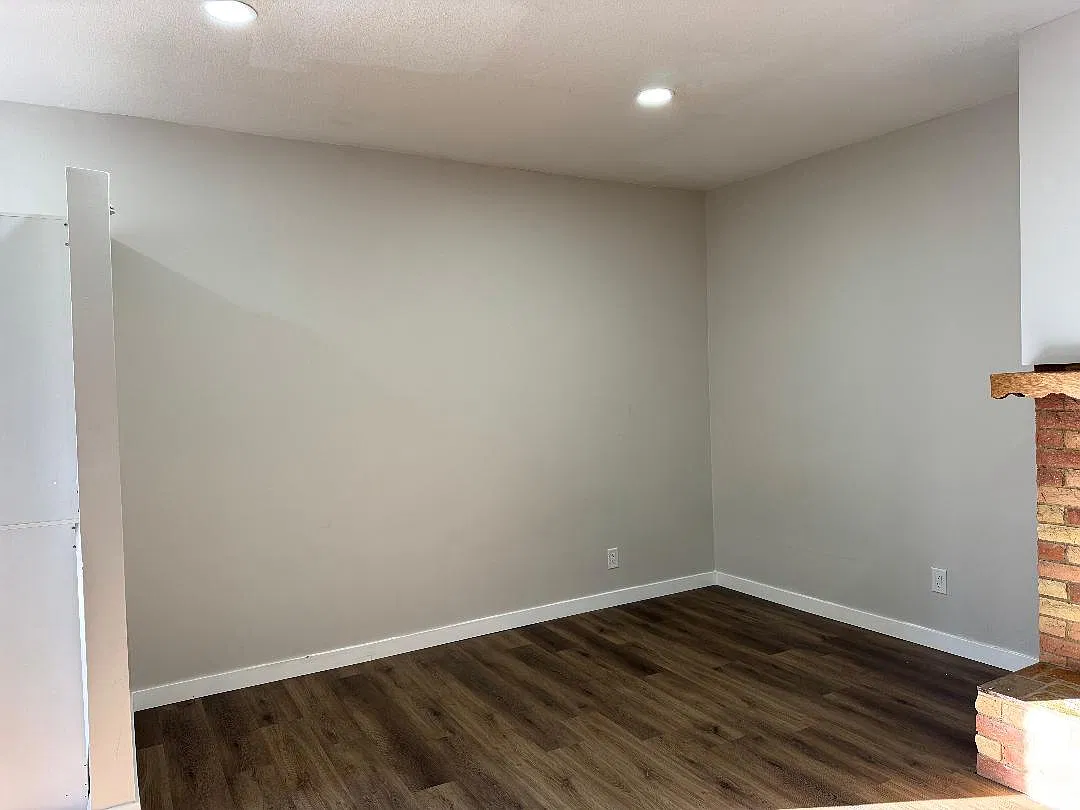 1 bed, 250 sqft, $1,000 — Photo 3