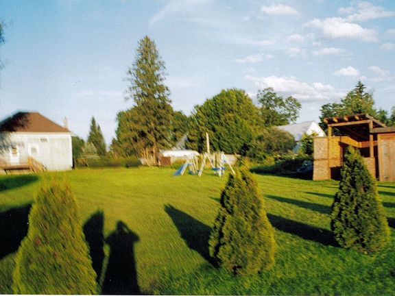 Lanscaped back yard with shed