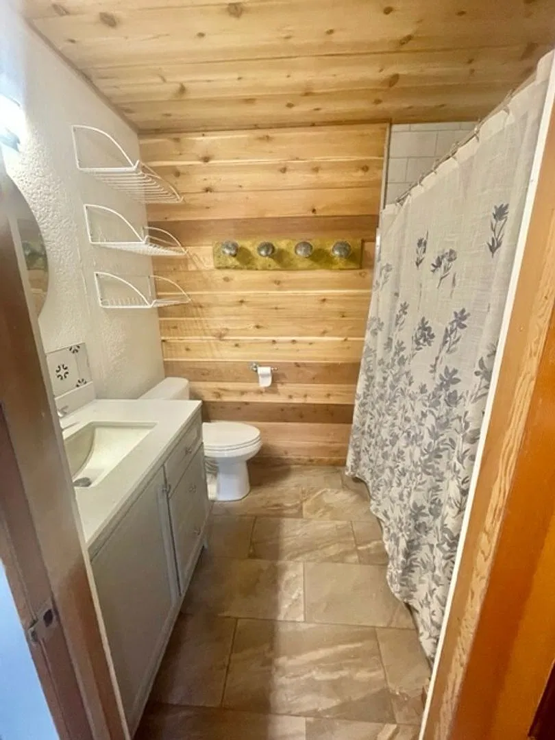 Downtown Pagosa Springs Gem Fully Renovated 4BR Home! — Photo 3