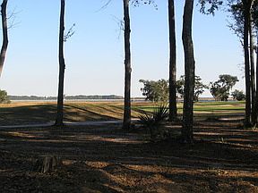 2nd image of 110 Riverwalk Dr