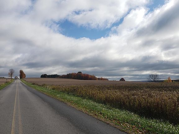 3rd image of Palestine Rd