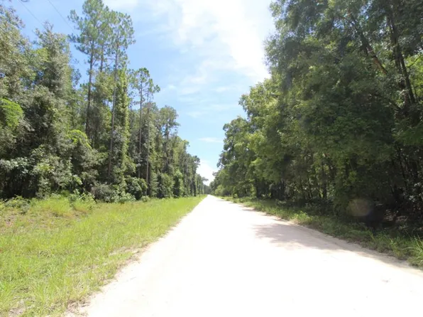 536 NE 354th Ave, Old Town, FL 32680