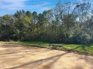 Richard St, Coldspring, TX 77331